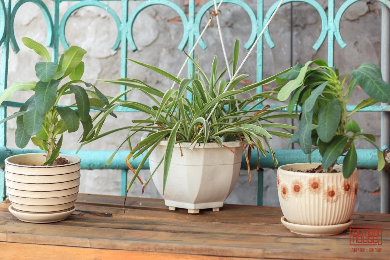 Harmony Homestay Hanoi Luaran gambar